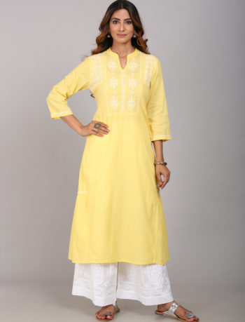 Panelled long dress kurta